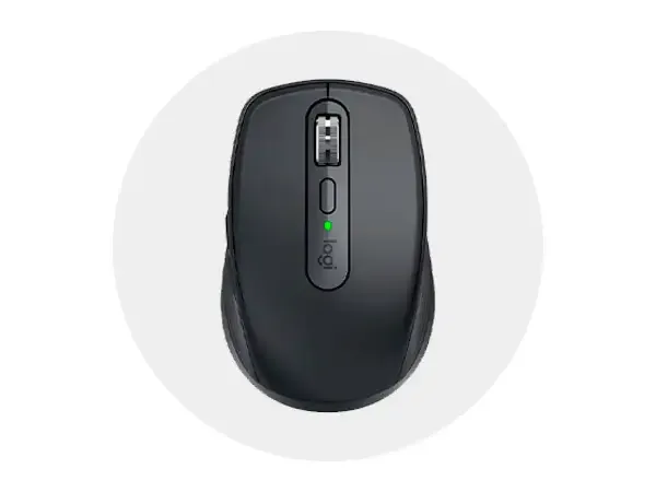 Mouse