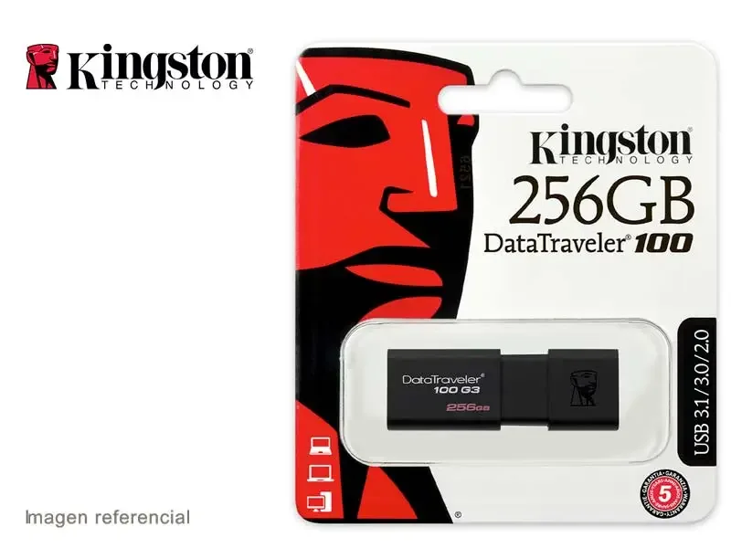 Memoria USB 3.0 256GB Kingston DT100 G3 DataTraveler 100 G3
