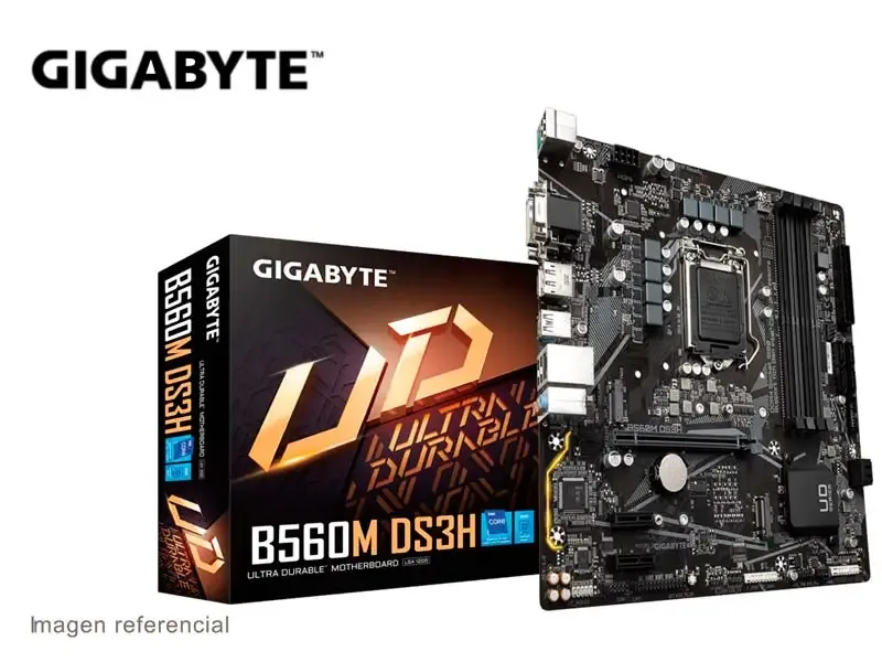Placa Gigabyte B560M DS3H LGA1200 DDR4 USB 3.2 11va y 10ma Gen.