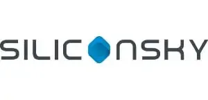 Silicon Sky