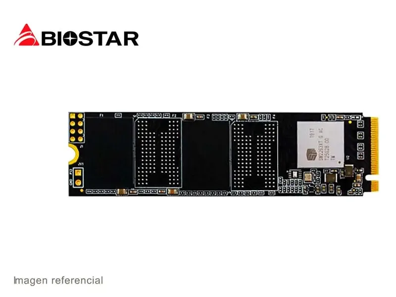 Unidad de Estado Solido Interno M.2 2280 M720 256GB BIOSTAR NVMe SSD