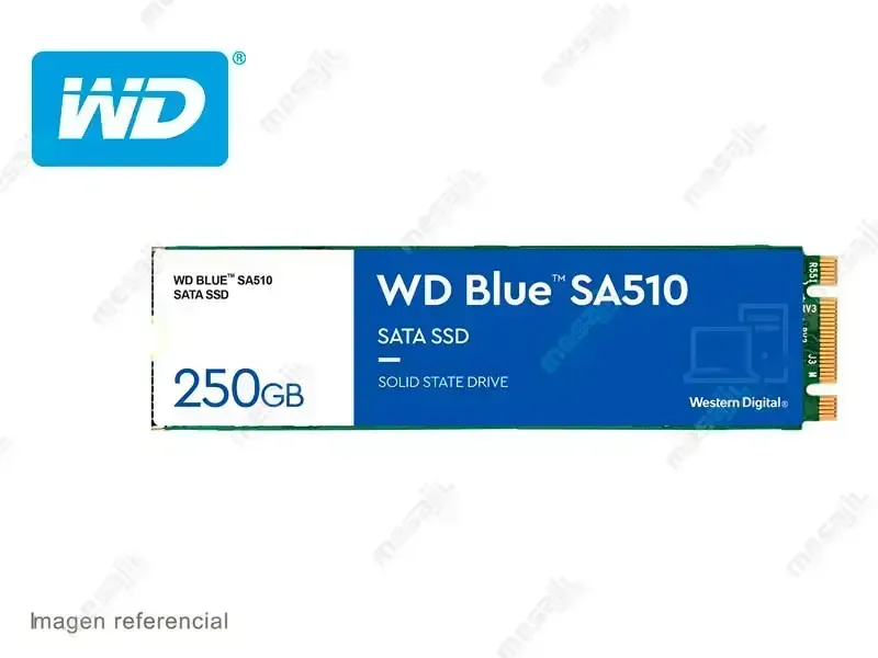 Unidad SSD Interno M.2 2280 Western Digital Blue 250GB SA510 SATA III
